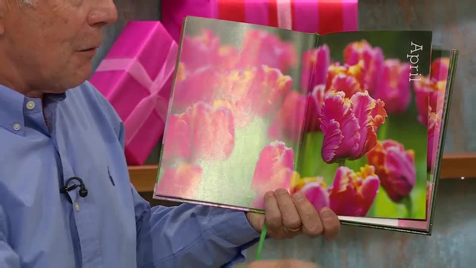A man in a blue shirt holds open a calendar, showing a vibrant photo of pink tulips. The "April" page is visible, and he's likely describing the flowers on QVC Extra.
