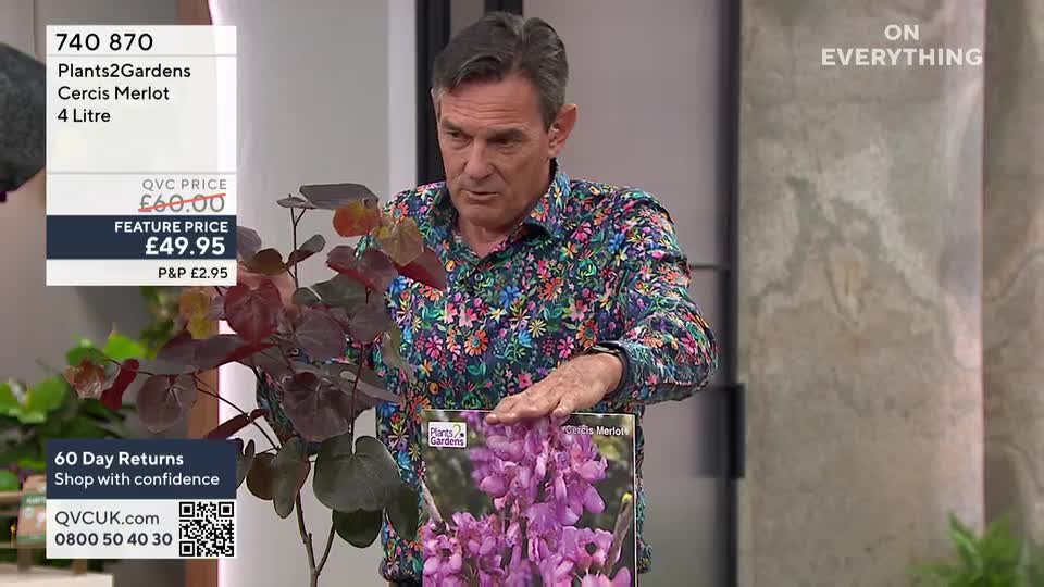 A man in a floral shirt gestures towards a plant with dark purple leaves and a picture of its flowers. He's holding a card from Plants2Gardens, advertising the Cercis Merlot on QVC Extra in the United Kingdom.
