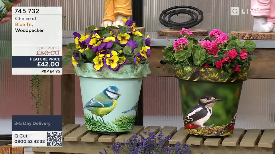 Two decorative plant pots sit on a wooden shelf, one painted with a blue tit and the other with a woodpecker. The pot on the left overflows with purple and yellow pansies, while the one on the right is filled with bright pink flowers.