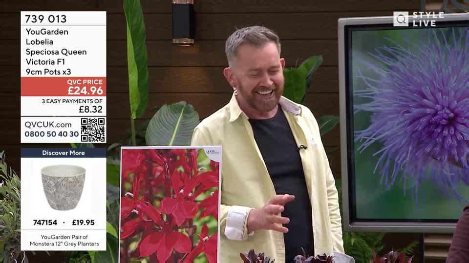 A man in a pale yellow shirt laughs, gesturing towards a screen displaying a vibrant purple thistle. Beside him, a card shows a cluster of deep red lobelia flowers.