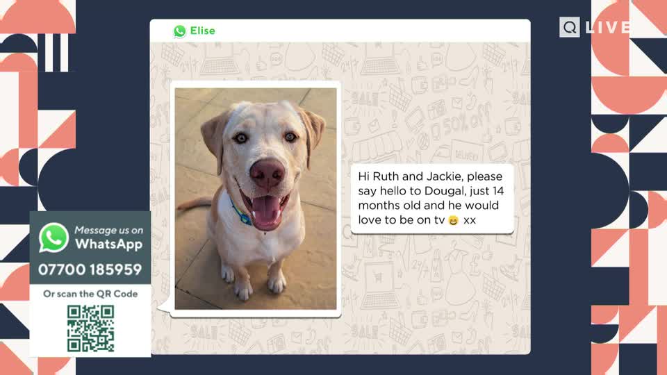 A happy Labrador sits patiently, its tail wagging just out of frame. A WhatsApp message pops up, asking Ruth and Jackie to say hello to Dougal, a 14-month-old who wants to be on TV.