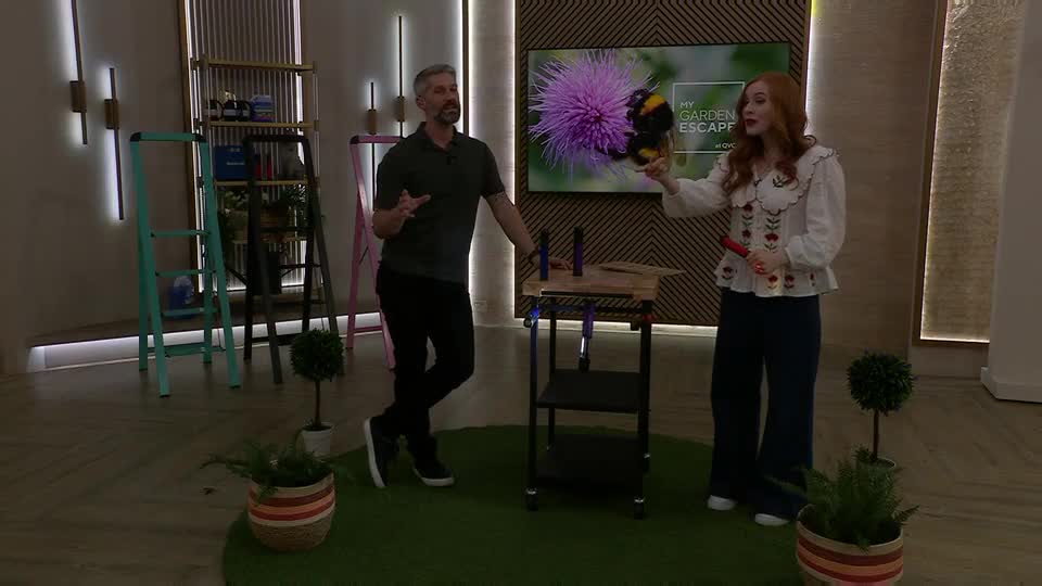 A man in a dark polo shirt gestures with his hands, while a woman beside him holds a red object and points to a large screen displaying a bumblebee on a thistle. The QVC logo is visible on the screen, hinting at a gardening segment.