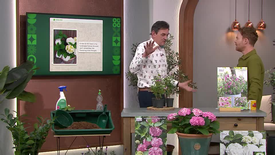 A man in a patterned shirt gestures animatedly while speaking to another man in a green shirt. They stand on a set with plants and gardening supplies, likely for a QVC segment.