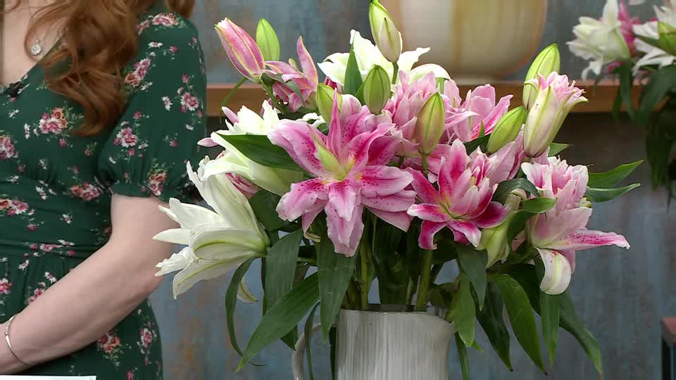 A woman in a floral dress stands beside a large vase overflowing with pink and white lilies. The blossoms, some fully open and others still in bud, are arranged artfully, their vibrant colours catching the light. A woman in a floral dress stands beside a large vase overflowing with pink and white lilies. The blossoms, some fully open and others still in bud, are arranged artfully, their vibrant colours catching the light.