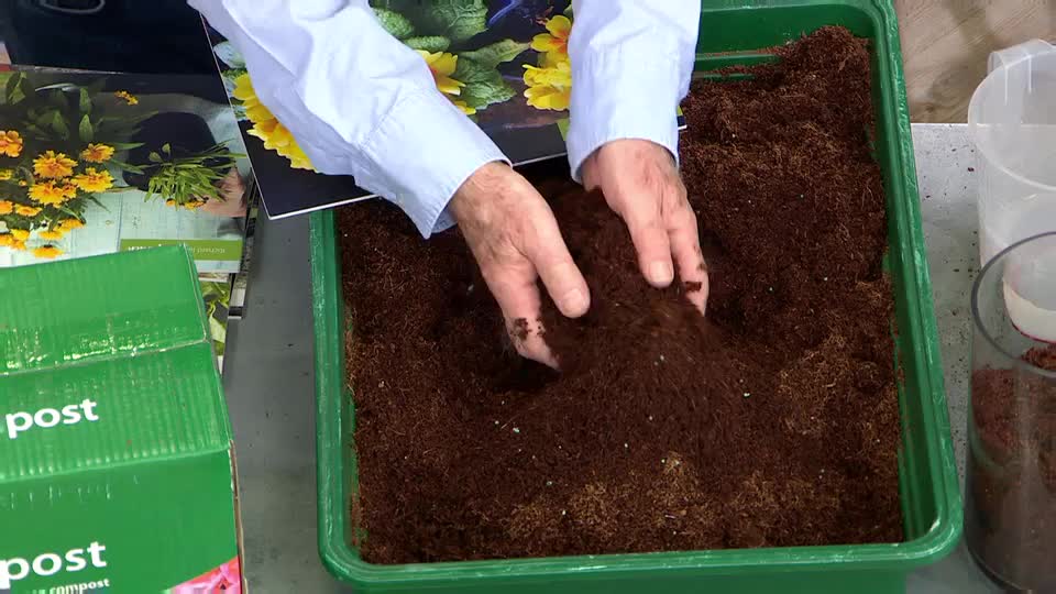 A person's hands sift through a large tub of dark, fibrous compost. Beside the tub, a green box labelled "post" sits next to gardening magazines. A person's hands sift through a large tub of dark, fibrous compost. Beside the tub, a green box labelled "post" sits next to gardening magazines.