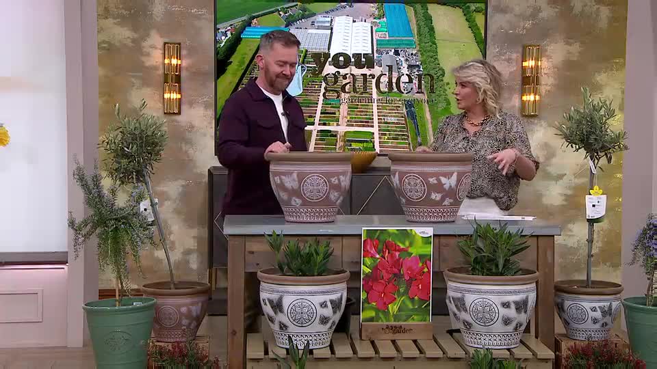 A man and a woman are presenting gardening products on a QVC show. They stand behind a display of decorative pots and plants, with a large screen behind them showing a garden center.