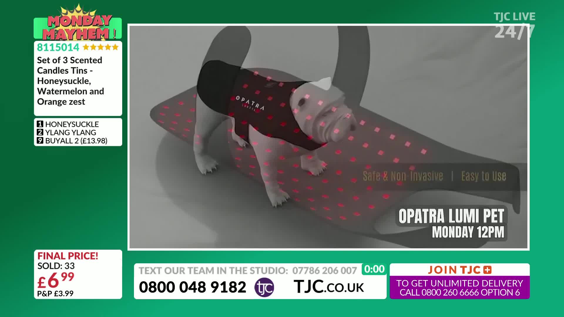 A dog, wearing a black vest with "Opatra" on it, stands on a patterned mat. The TJC screen displays the product, which is a light therapy device for pets.
