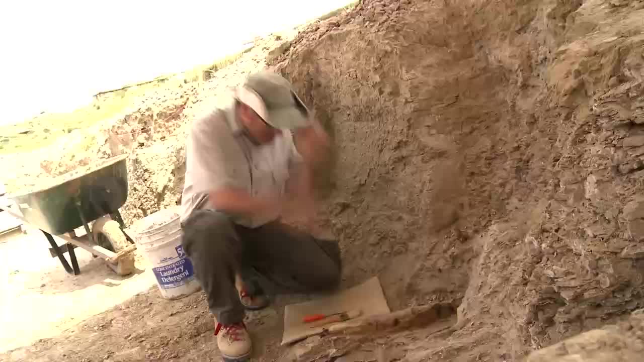 A man kneels in a dusty excavation, carefully brushing dirt from a fossil. Tools lie on paper beside him, ready for the next discovery.