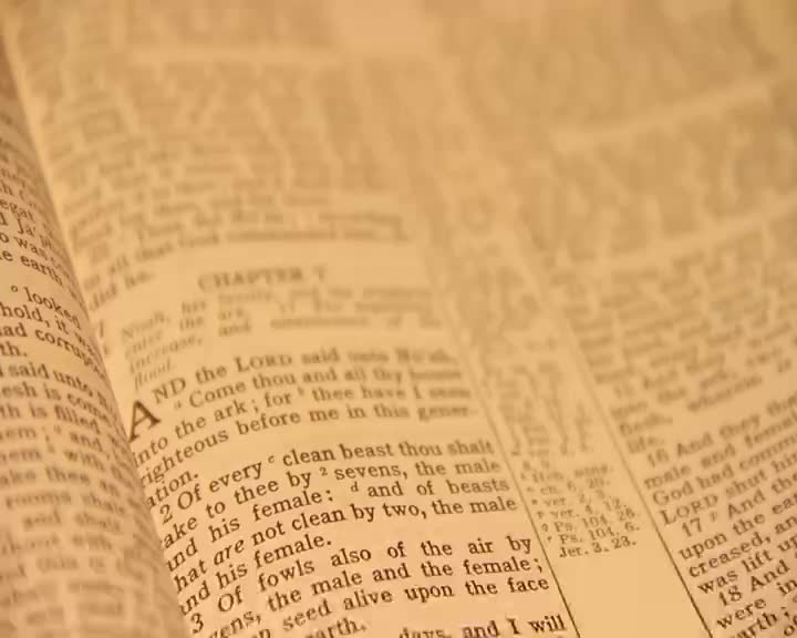 The pages of an open Bible are spread before me, their aged paper a warm, sepia tone. Text, in a familiar King James translation, fills the spread, detailing Chapter 7 of Genesis.