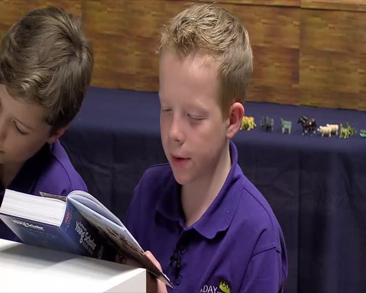 A boy in a purple shirt reads from a book titled "Young Scholar." Behind him, a line of small animal figurines stands on a shelf.