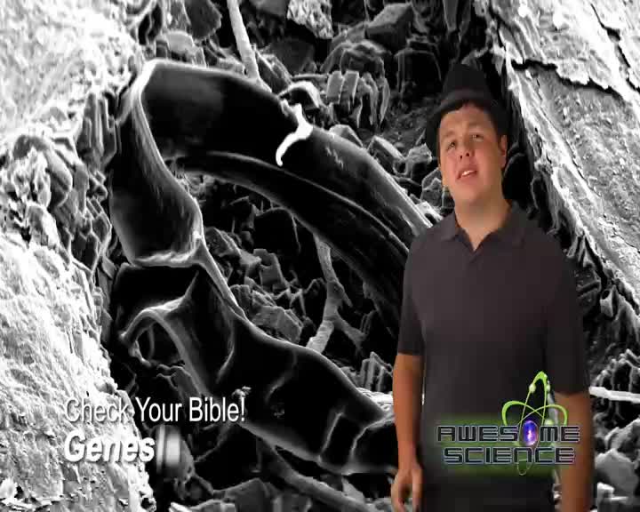 A young man in a fedora stands before a magnified view of what looks like cellular structures. Text on the screen reads, "Check Your Bible! Genes."