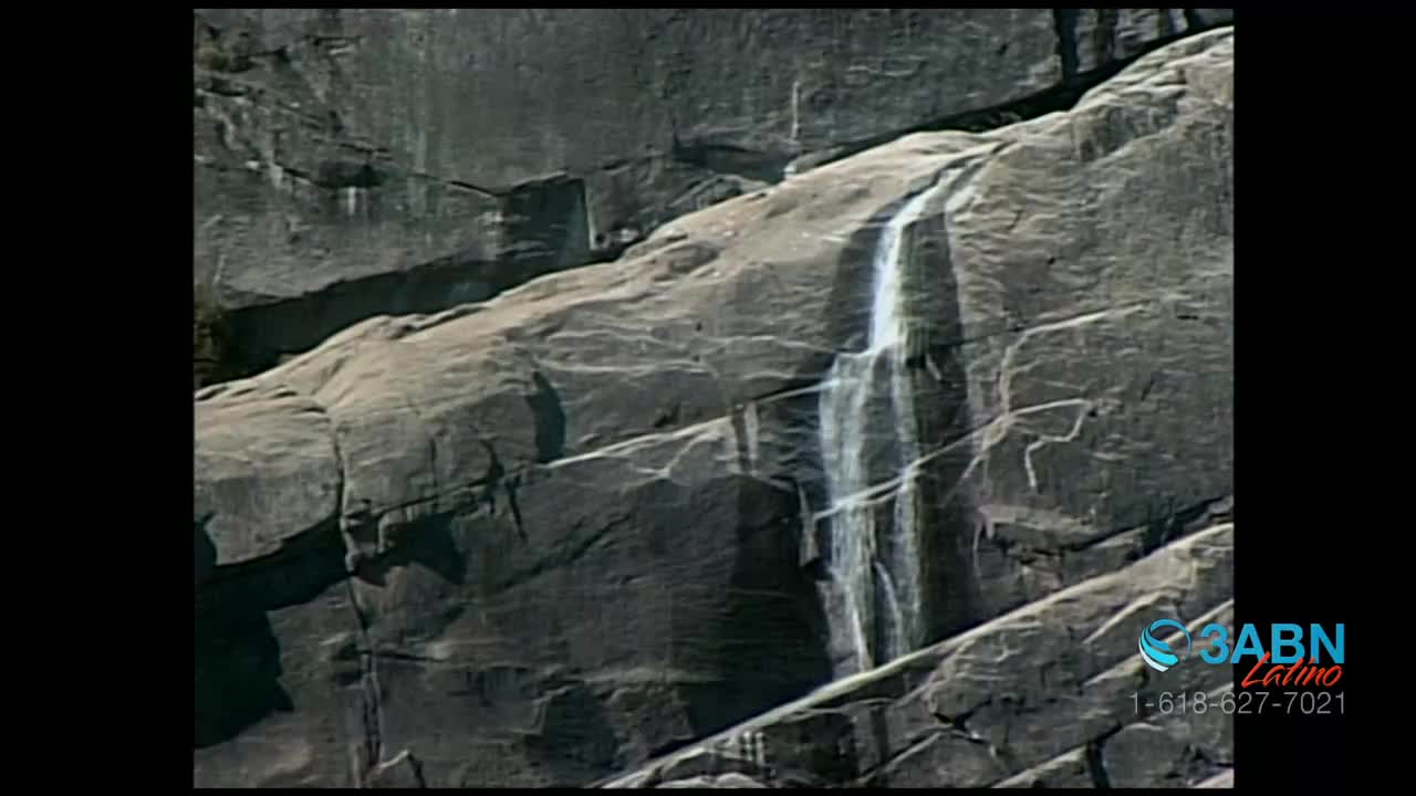 Water plunges down a sheer rock face, a white ribbon against the gray stone. The stream cascades, disappearing into the unseen depths below.

