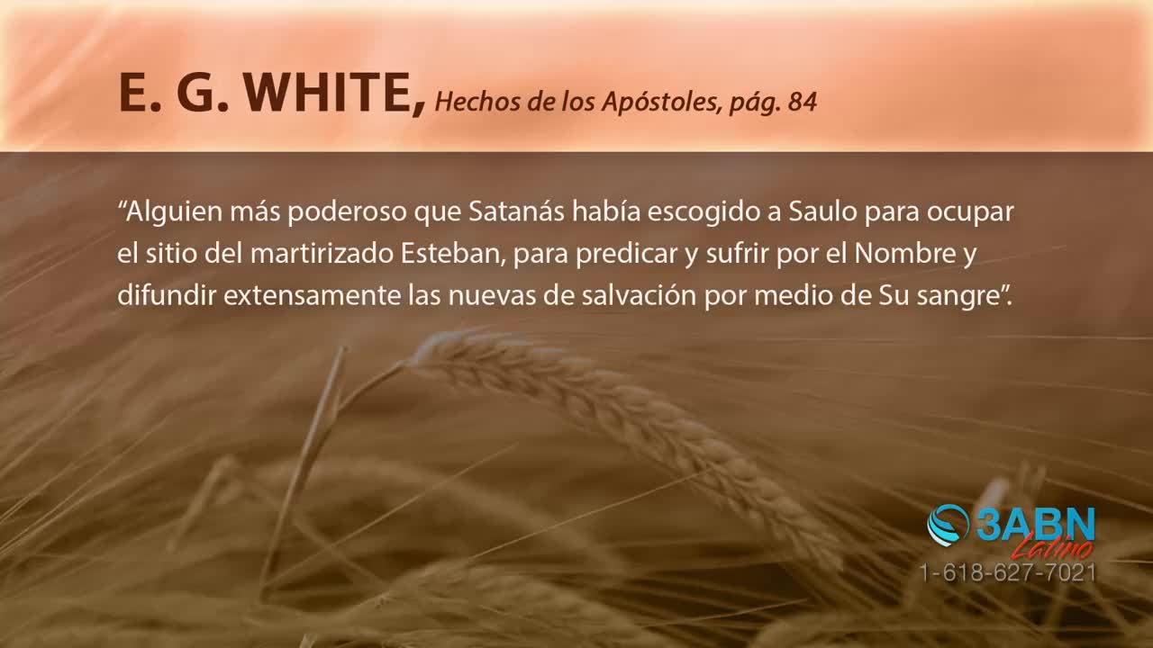 Golden wheat stalks sway gently in the breeze. A logo for 3ABN Latino and a phone number are visible in the lower right corner.