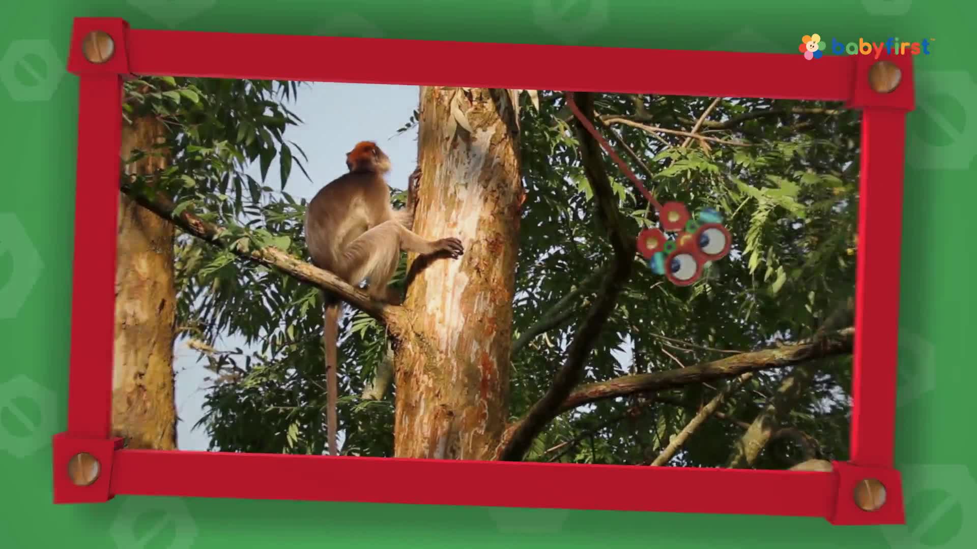 A monkey sits on a tree branch, its tail hanging down. A cartoonish, multi-eyed object dangles from a nearby branch.
