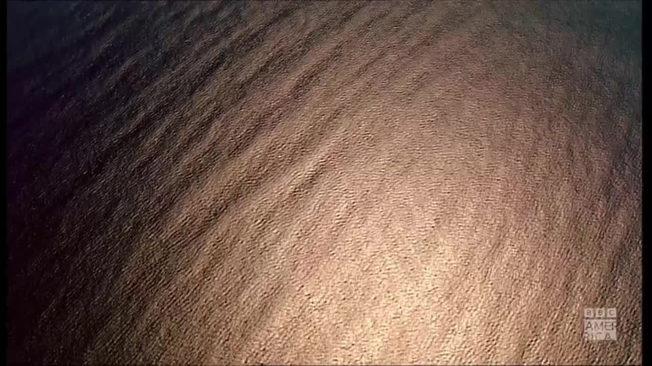 The surface ripples, a gradient of light and shadow across the screen. It's a close-up, textured like sand, and the BBC America logo is in the corner.
