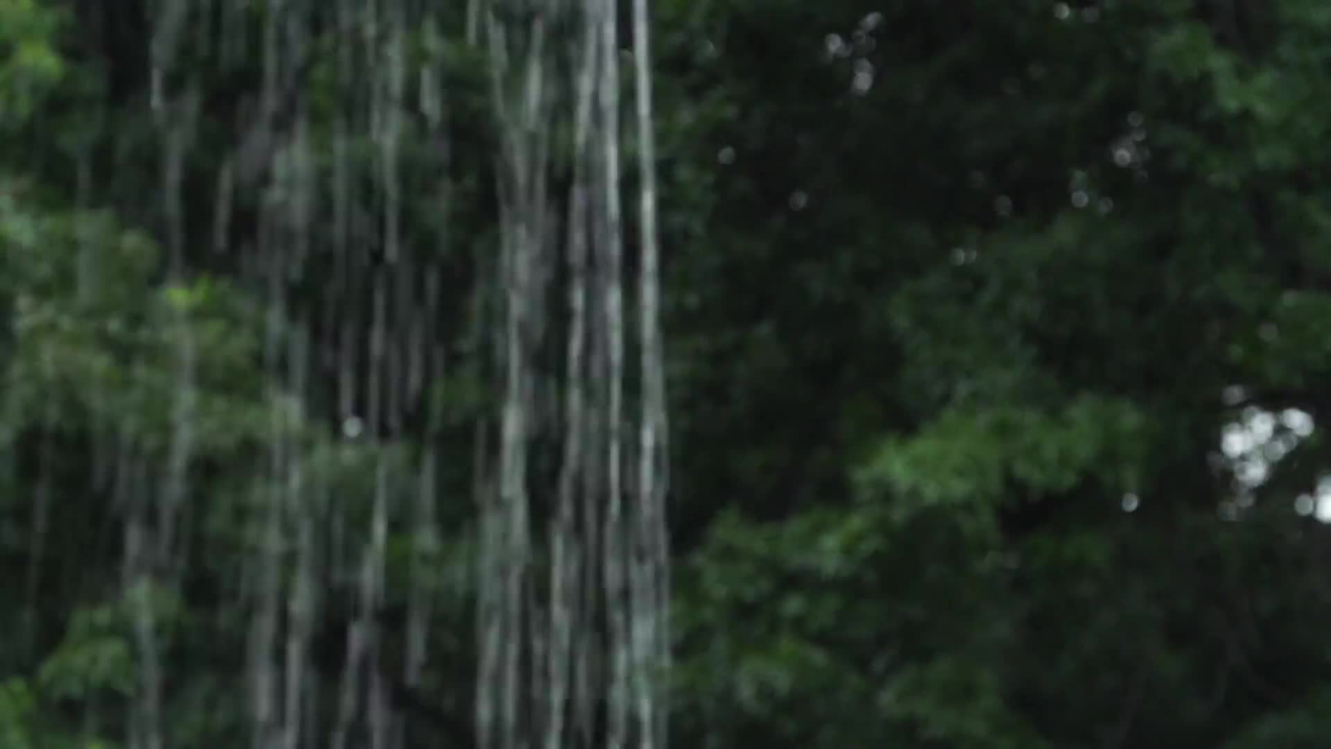 Vertical streams of water fall in front of a backdrop of dark green trees. The rain appears heavy, with the water creating a curtain-like effect.
