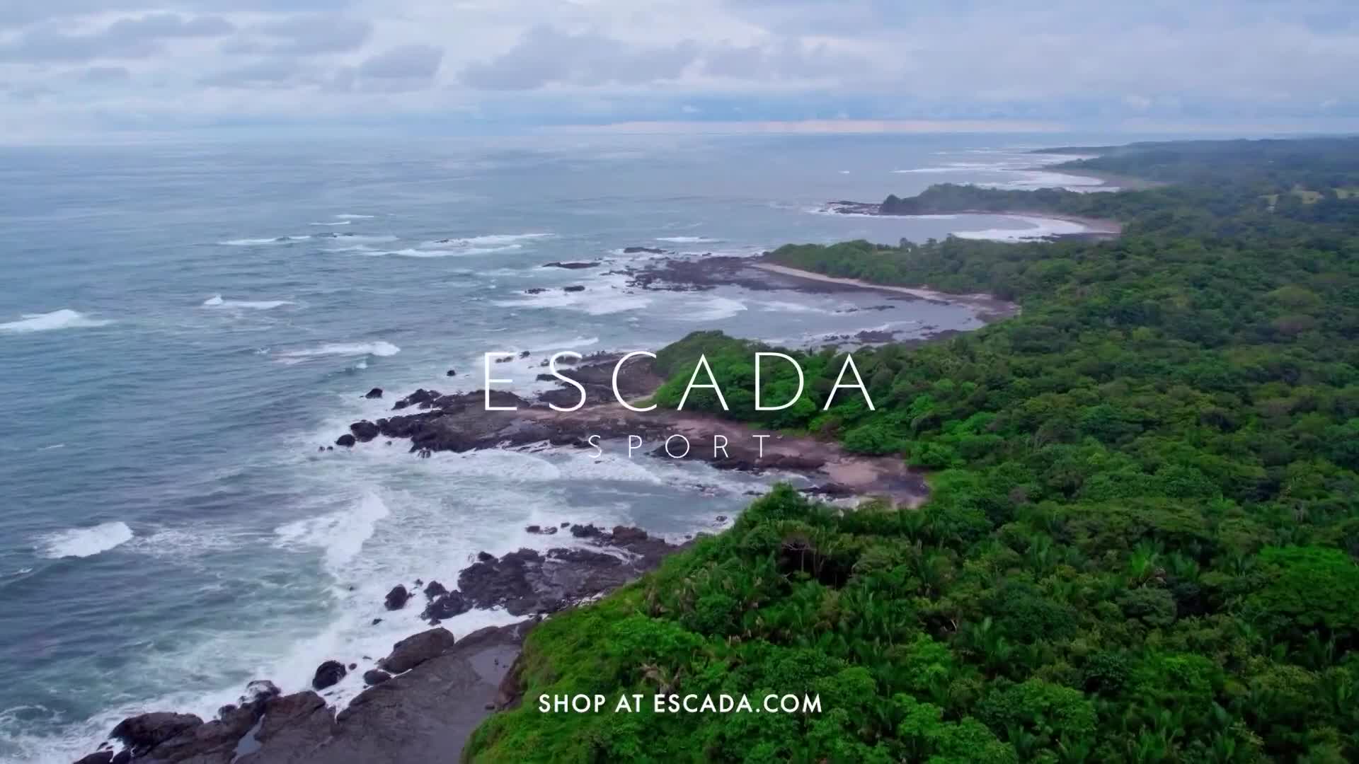 The ocean crashes against a rocky coastline, sending white foam across the dark stone. Lush green trees line the shore, contrasting with the gray sky.
