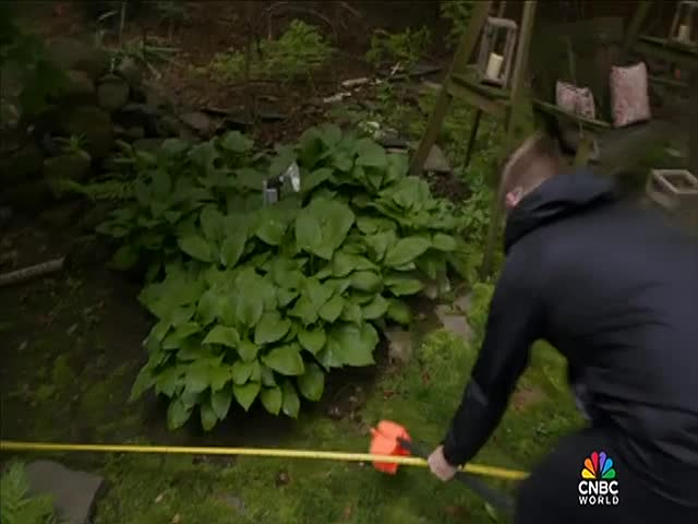 A man in a black jacket kneels, stretching a yellow measuring tape across the grass. Lush green plants fill the frame behind him as the CNBC World logo sits in the bottom right corner.
