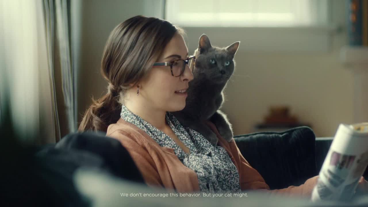 A woman with glasses sits on a couch, reading a magazine, while a gray cat perches on her shoulder. The cat stares directly ahead, as if it's also watching the television.
