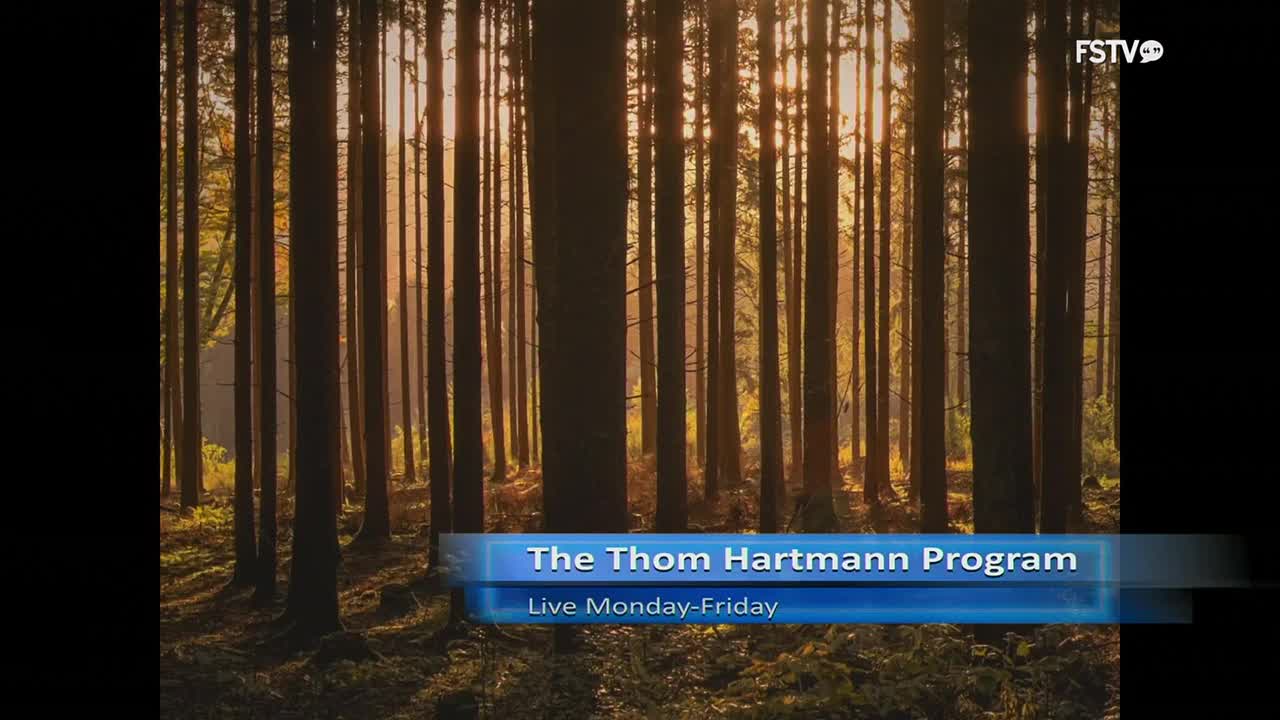 Sunlight streams through the tall, straight trunks of a forest, creating a warm glow. The lower third of the screen displays the title card for "The Thom Hartmann Program" on Free Speech TV.
