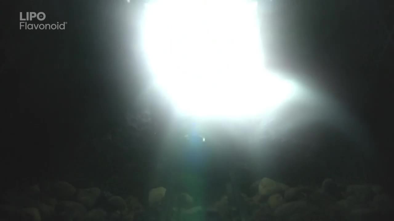 A blinding light flares from above, casting a dark shadow over the rocky ground below. The LIPO Flavonoid logo is visible in the upper left corner, suggesting this is a commercial break on a Game Show Network program.
