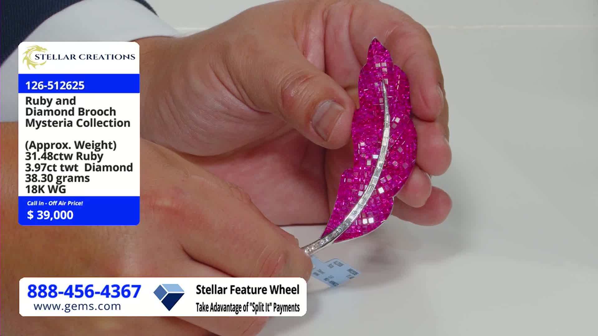 A hand presents a ruby and diamond brooch shaped like a feather. The Gem Shopping Network is displaying the piece, with its price of $39,000 clearly visible.
