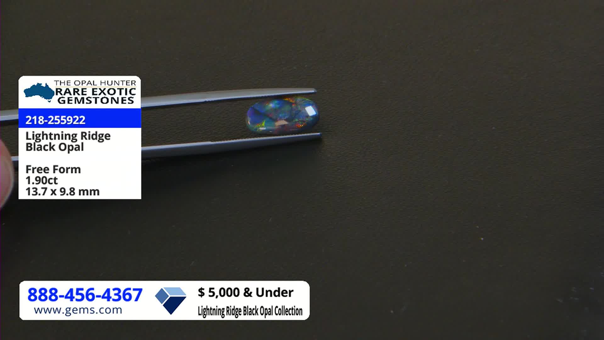 A black opal, held by tweezers, shimmers with flashes of color against a dark background. A graphic listing details its origin and size, likely part of a Gem Shopping Network presentation.
