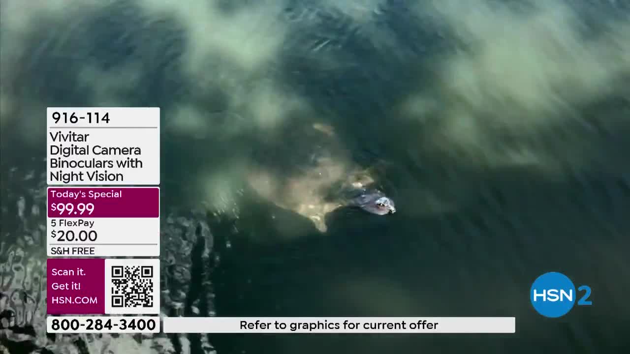 A turtle glides through murky water, its head and front flippers visible. The HSN2 logo and product information are displayed in the corner.
