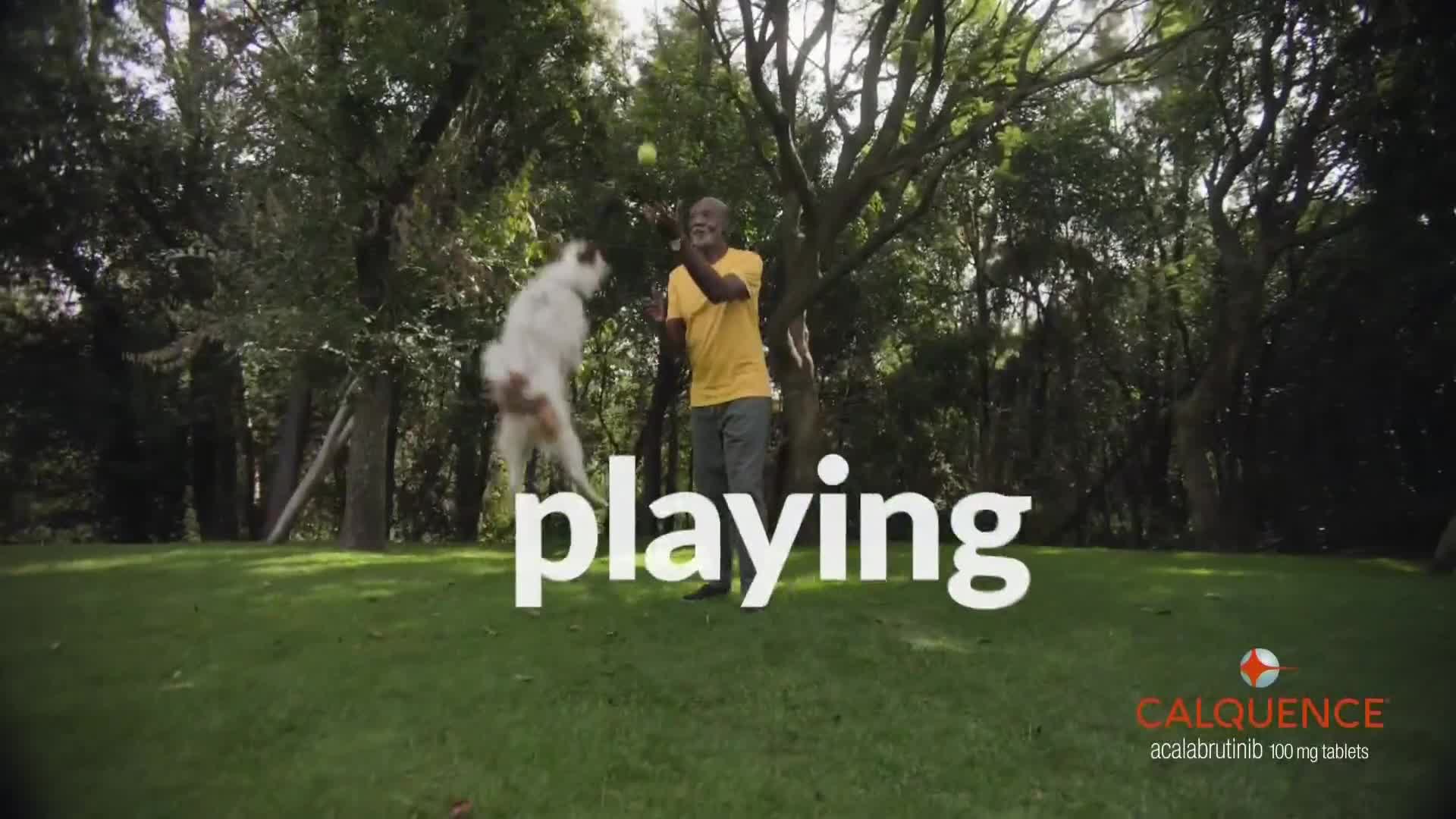 A man in a yellow shirt tosses a ball in the air while a dog leaps to catch it. The dog is mid-air, its fur a mix of white and brown against the green grass and trees.
