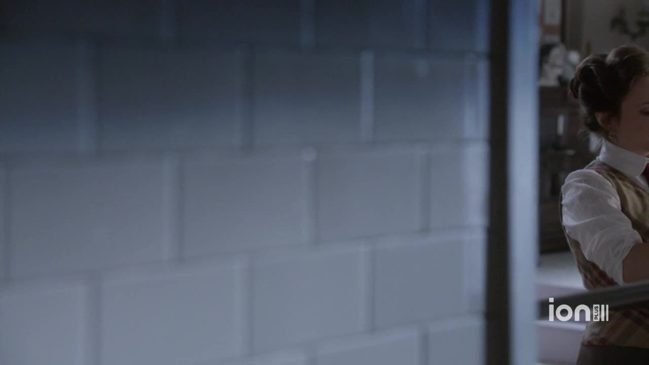 A woman in a vest and blouse stands near a wall of white tiles. The ION Plus logo is visible in the lower right corner.
