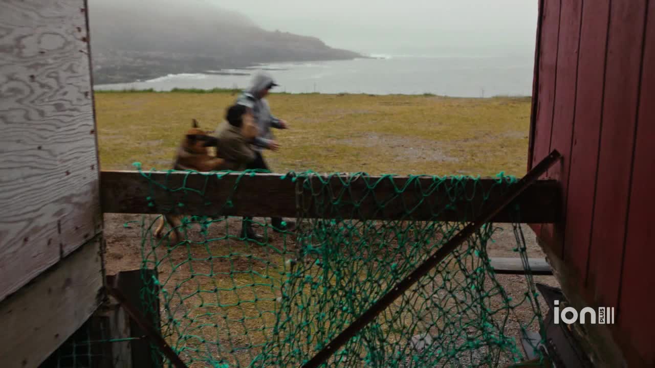 A person in a hooded jacket runs across the wet grass, followed by a dog. The scene unfolds near a wooden structure, with a coastal landscape in the background.
