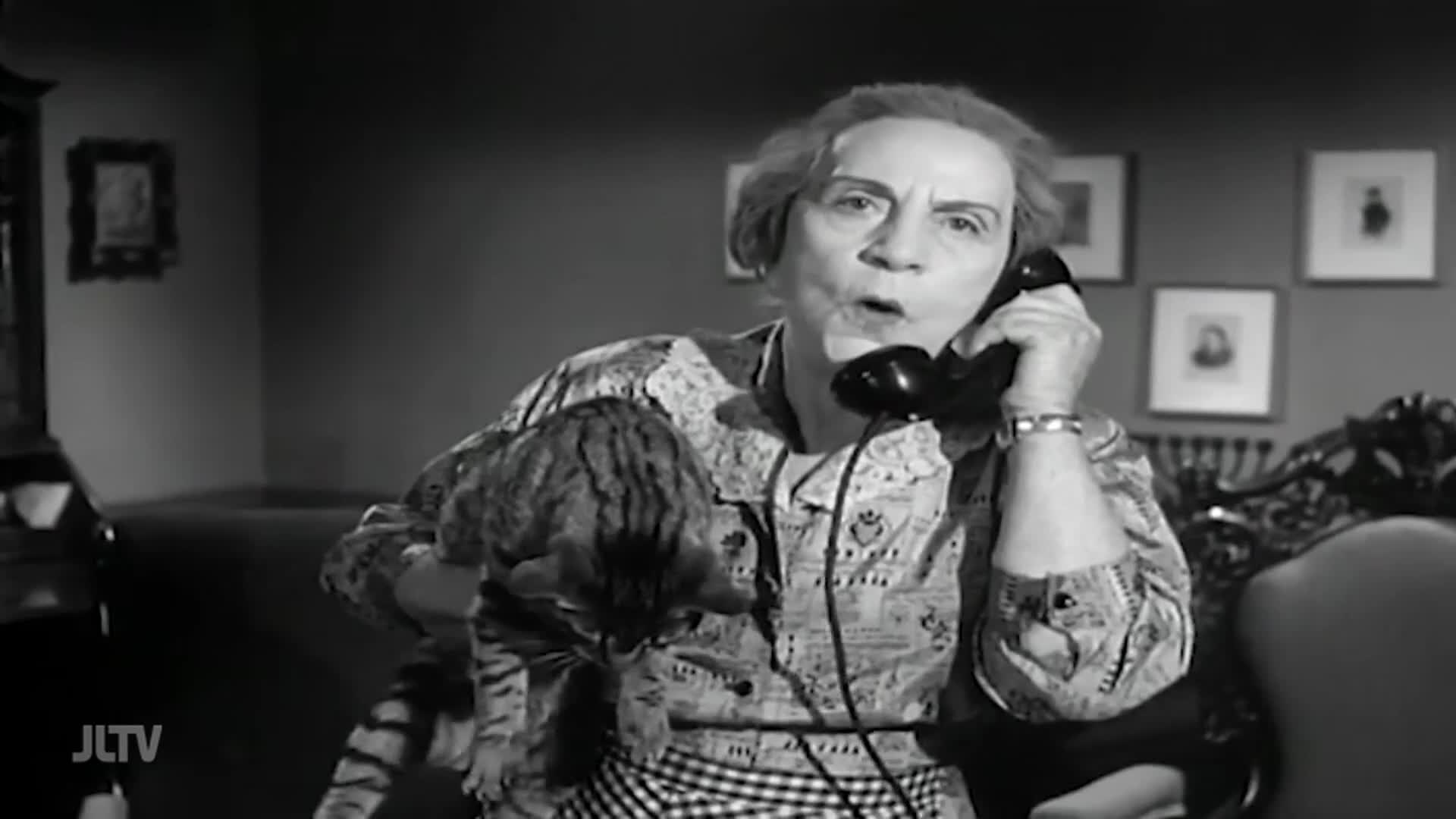 A woman in a patterned blouse holds a black telephone to her ear, her mouth open in surprise.  A tabby cat rests in her arms as she speaks, likely on a show from United States Jewish Life Television.
