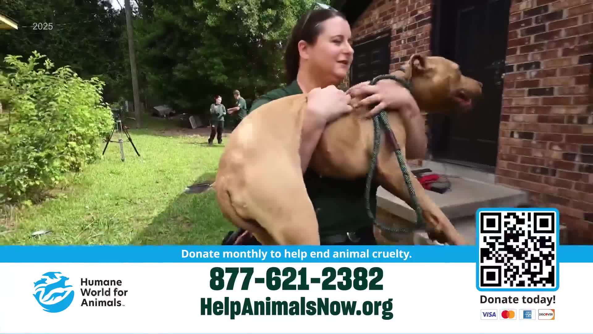 A woman carries a large, tan dog towards a brick building. Two other people in green uniforms stand in the background, and a camera tripod is set up on the grass.
