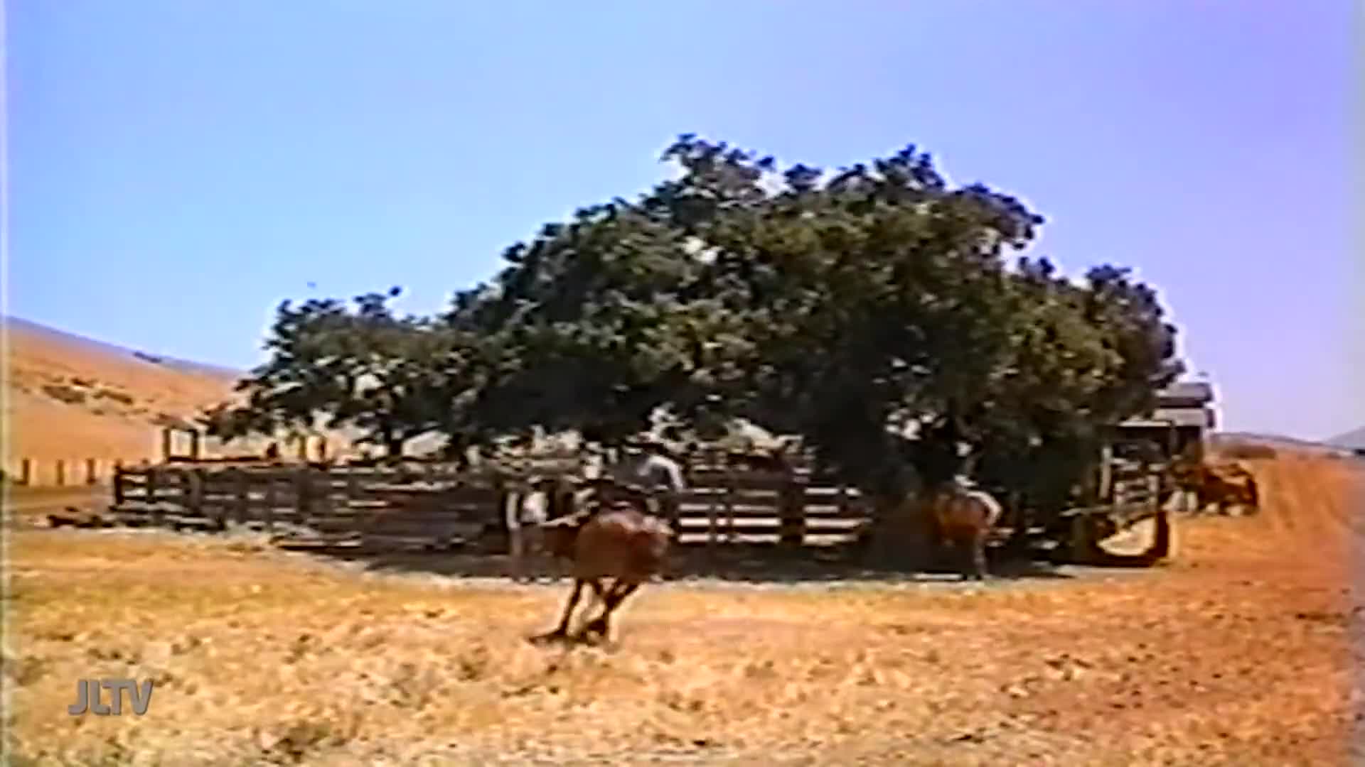 A cowboy on horseback gallops toward the camera, kicking up dust in front of a wooden fence and a large tree. The scene appears to be part of a show on Jewish Life Television, filmed in the United States.

