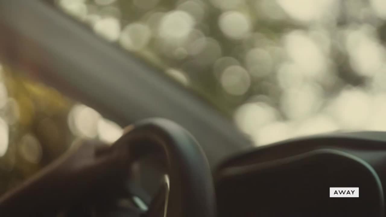 A hand grips the steering wheel, the car's interior in shadow. Through the windshield, the sun filters through the trees, creating soft, out-of-focus circles of light.
