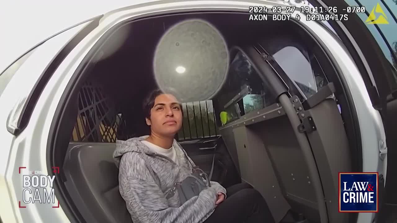 A young person sits in the back of a police vehicle, looking out the window. The camera captures the scene from inside the car, with the "Law & Crime" logo visible in the corner.