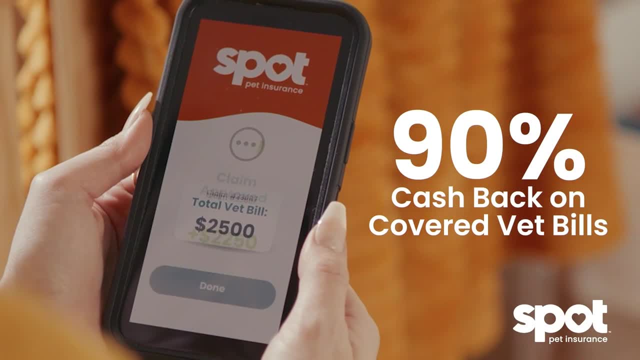 A hand holds a phone displaying a pet insurance claim, the screen showing a $2500 vet bill. Beside the phone, large white numbers advertise 90% cash back.
