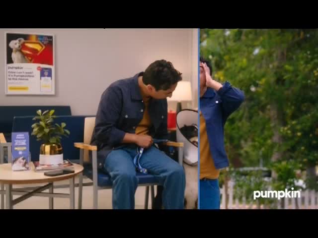 A man in a blue jacket sits in a waiting room, looking down at a dog wearing a cone. On the right, the same man holds his head in his hands, looking distressed in a yard.
