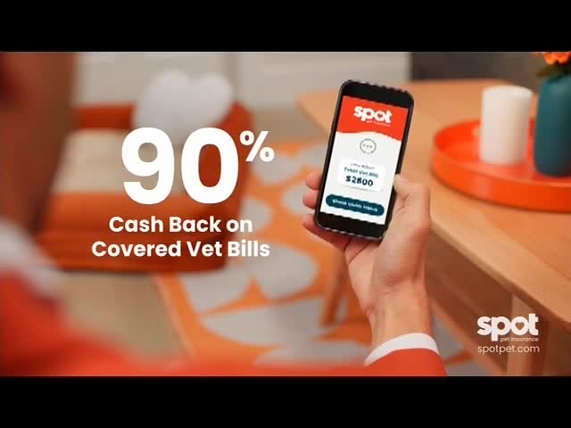 A hand holds a phone displaying a vet bill, with the Spot logo prominent. Bold white text advertises 90% cash back on covered vet bills, and the scene appears to be an advertisement.
