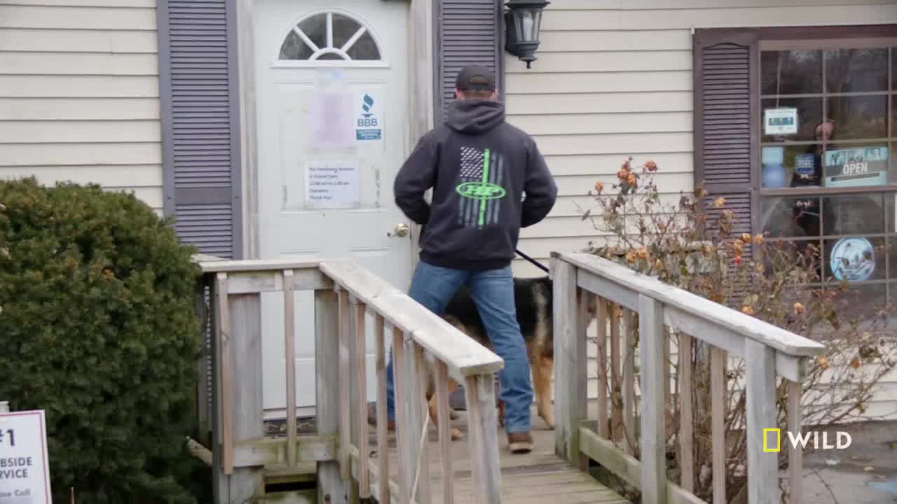 A man in a hoodie and jeans walks up the wooden ramp, a German Shepherd on a leash trailing behind him. The National Geographic WILD logo is visible, suggesting this scene is part of a show filmed in the United States.

