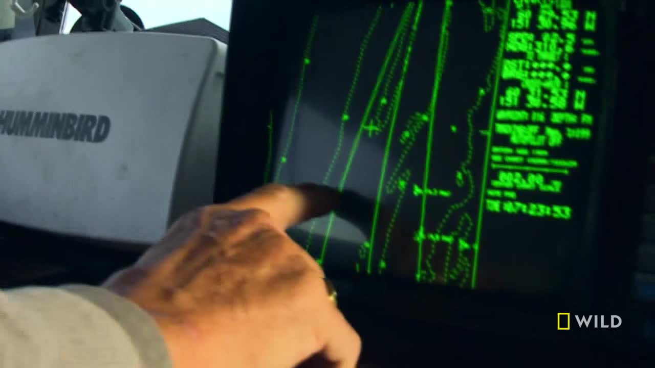 A finger points at a screen displaying green lines and numbers, likely a map or sonar reading. The "National Geographic Wild" logo appears in the corner, hinting at a documentary filmed in the United States.
