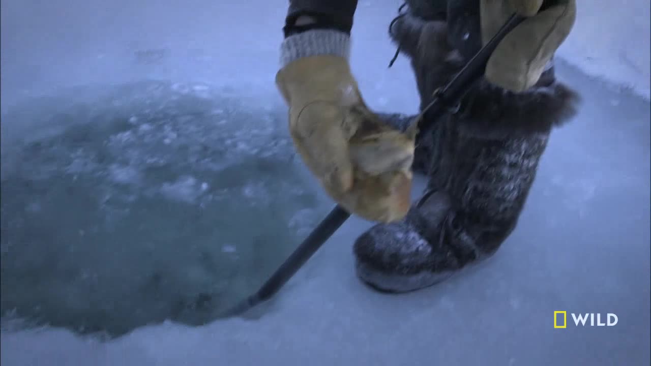 A gloved hand is using a metal tool to chip away at the ice, creating a hole in the frozen surface. The person's heavy boots and the National Geographic Wild logo suggest this is a documentary about the natural world.

