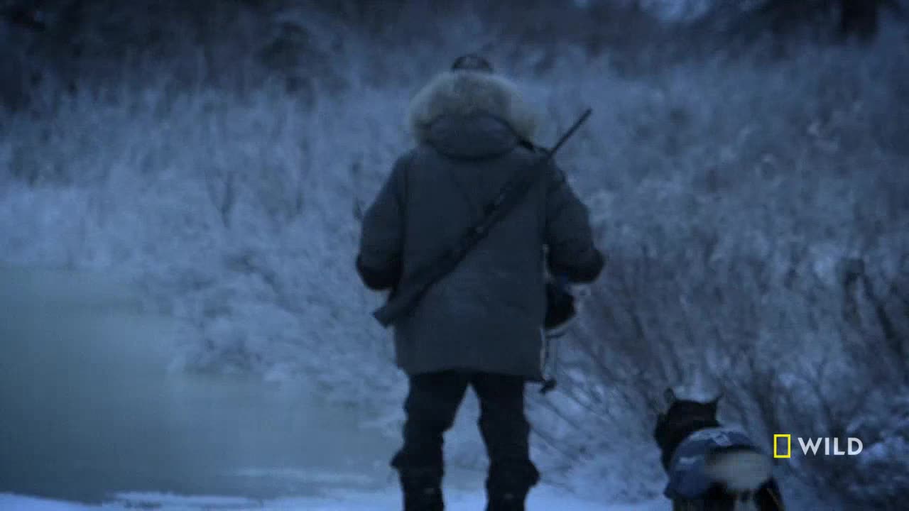 A person, bundled in a parka and carrying a rifle, walks through a snowy landscape. A dog, wearing a vest, trots along beside them.
