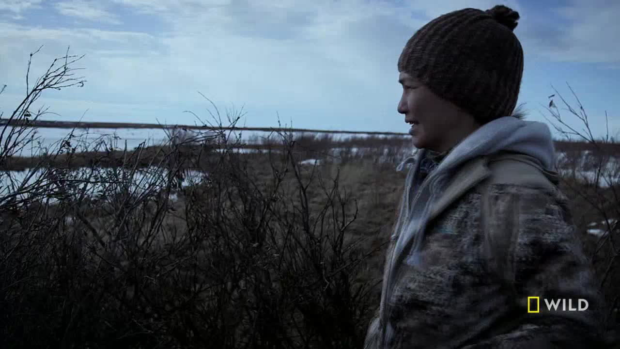 A person in a knit cap and camouflage jacket looks out over a marshy landscape. The National Geographic Wild logo is visible in the corner.
