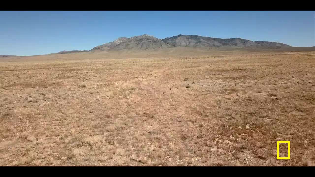 A vast, dry plain stretches toward a distant mountain range under a clear, blue sky. The ground is covered in dry grasses, with a small, yellow box in the lower right corner. 
