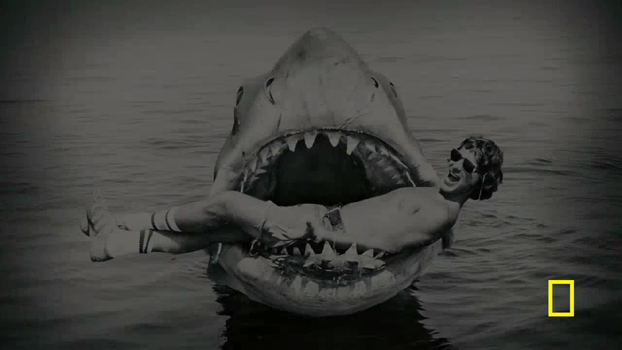 A man in sunglasses and knee socks is caught in the jaws of a massive shark, its rows of teeth menacingly displayed. The water around them is calm, and the scene is a striking visual from a National Geographic production.
