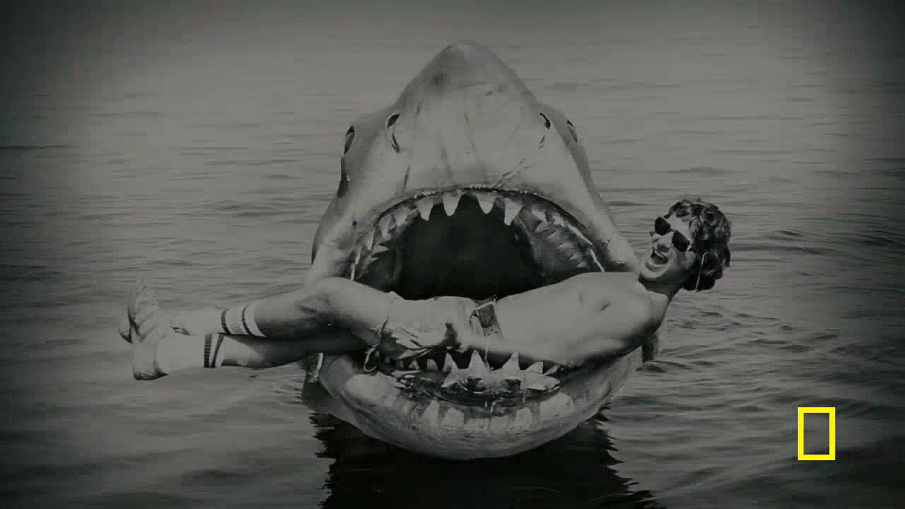 A massive shark, its jaws wide open, appears to be consuming a man in the water. The man, wearing sunglasses, is positioned inside the shark's mouth, with his legs and arms extended.
