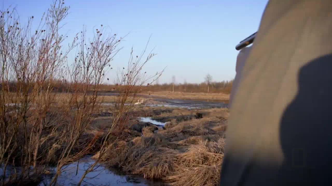 The barrel of a shotgun is aimed across a marshy landscape. Bare branches of bushes stand in the foreground, and a few white birds are visible in the distance.
