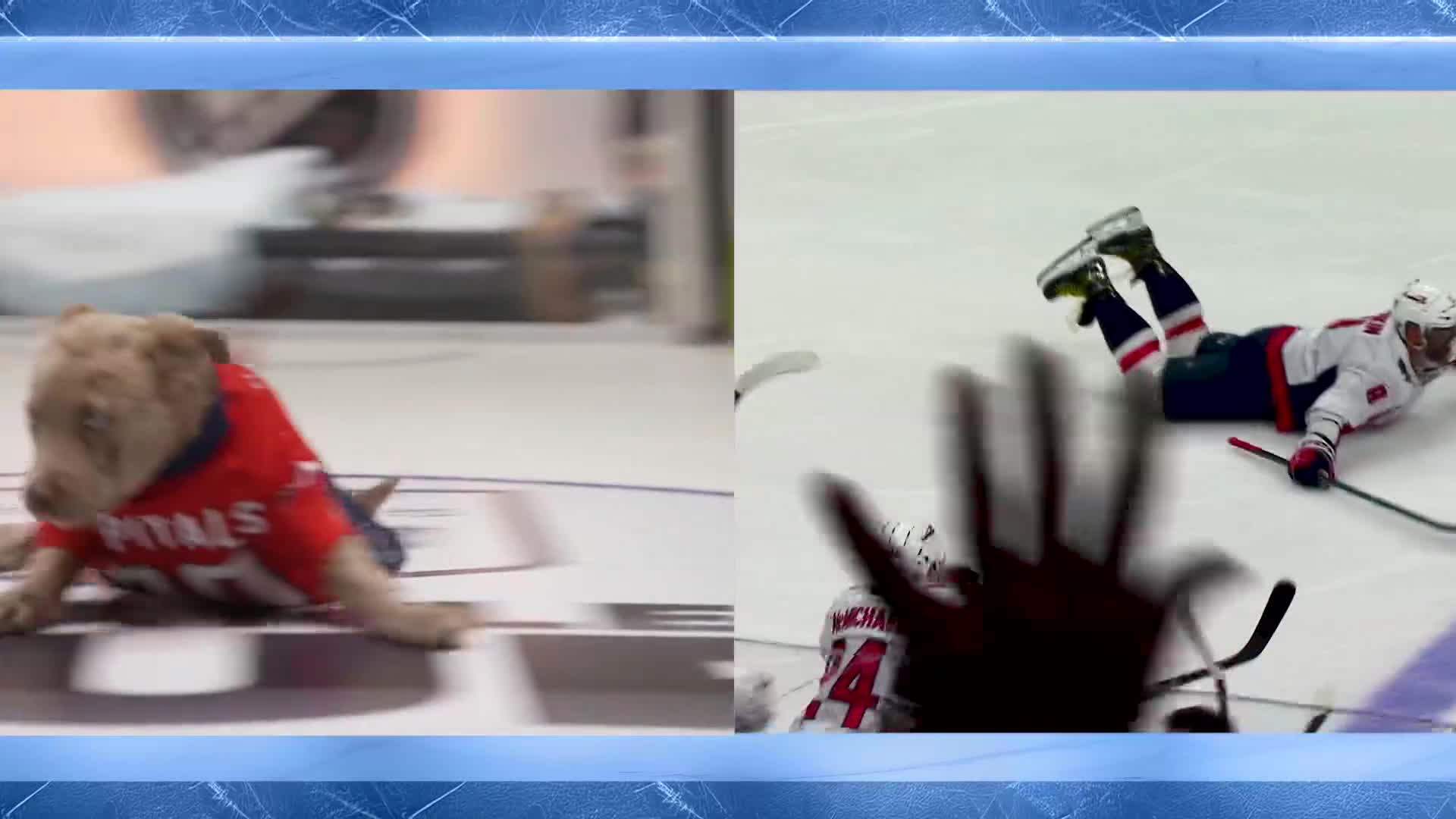 A puppy in a Capitals jersey is sliding across the floor. A player in the same jersey is sprawled on the ice nearby.
