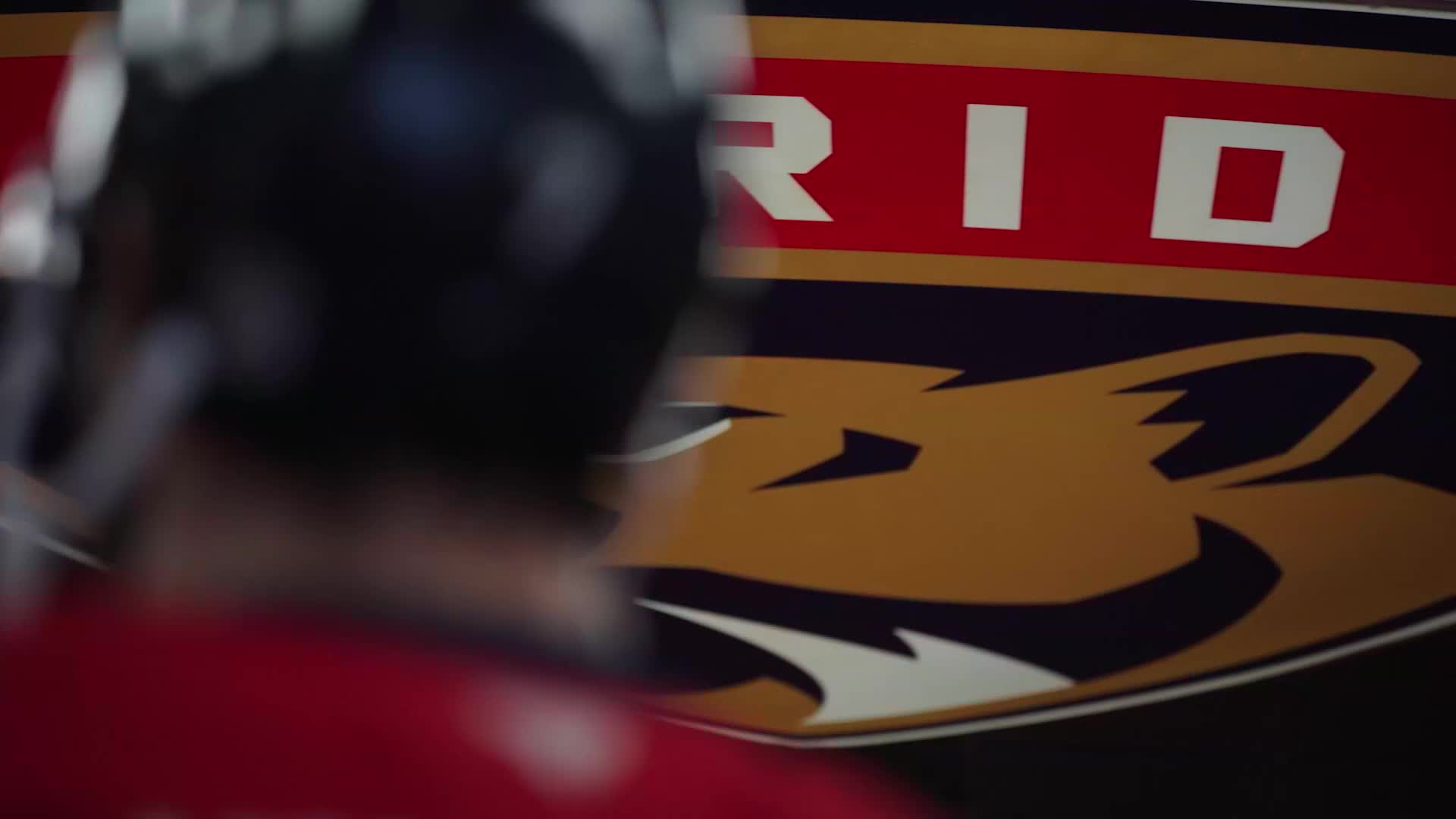 A player in a red jersey is partially blocking a view of the Florida Panthers logo. The word "PRIDE" is visible above the logo's gold panther head.
